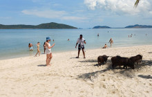 TripGuru - Thailand19