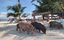 TripGuru - Thailand23