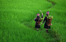TripGuru - Thailand5