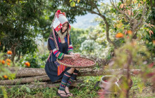 TripGuru - Thailand6