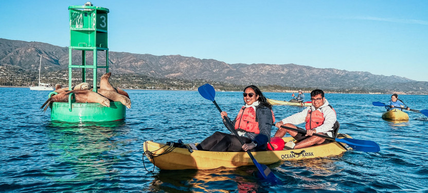 Private Harbor Wildlife Kayak Tour in Santa Barbara