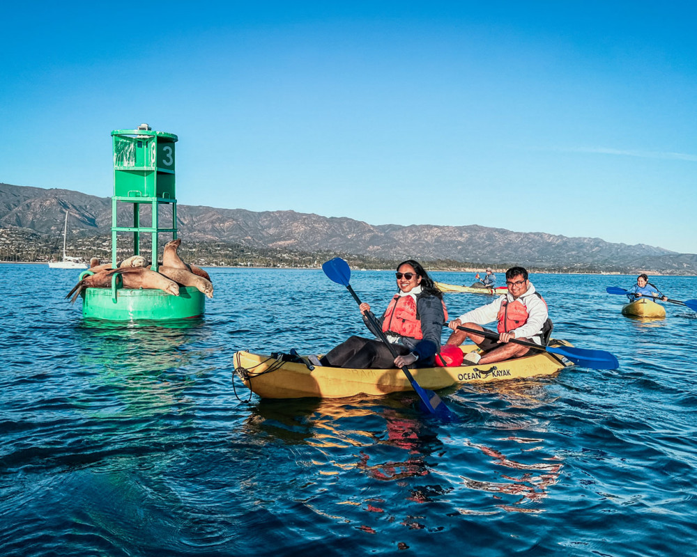 Private Harbor Wildlife Kayak Tour in Santa Barbara