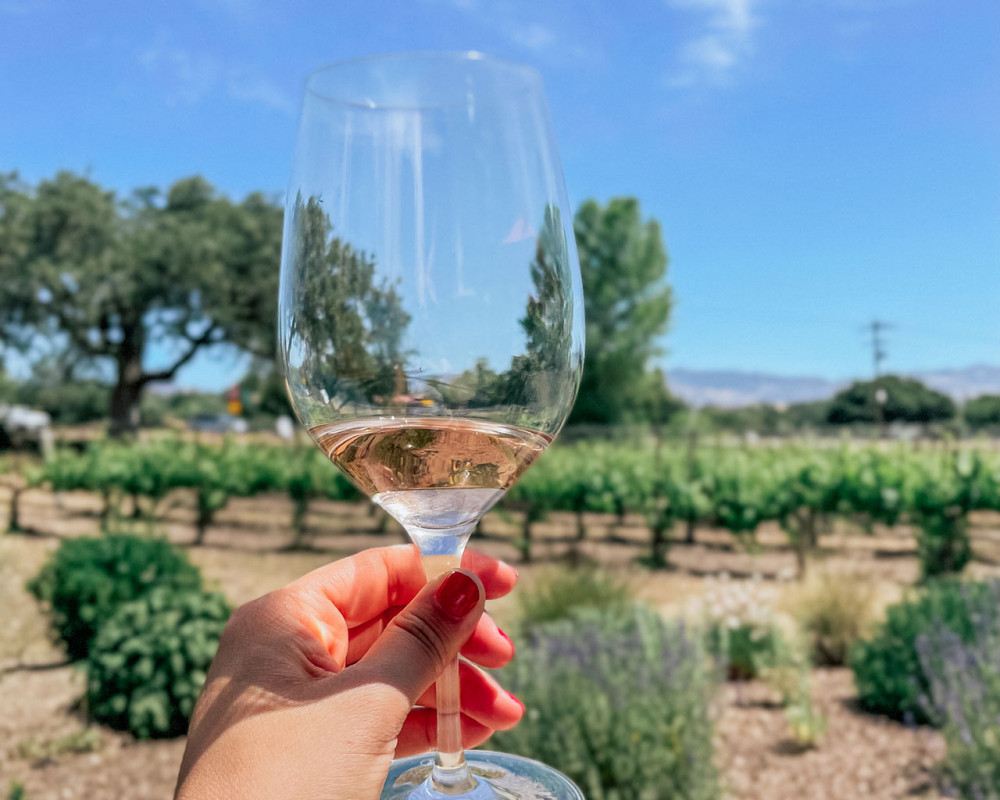 private wine tours santa ynez