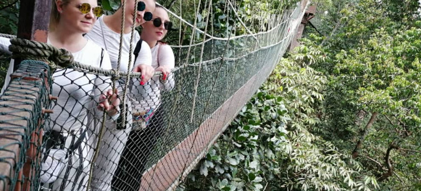 4D/3N Kuala Lumpur, Cameron Highlands - Taman Negara - Perhentian Island