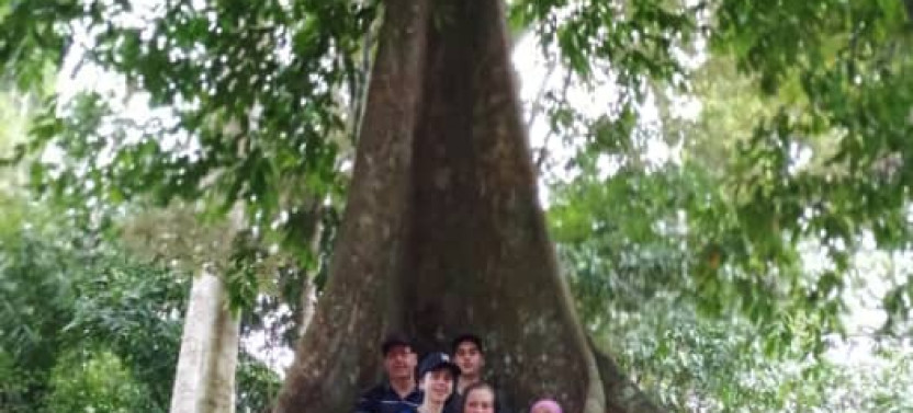 4D/3N Kuala Lumpur, Cameron Highlands - Taman Negara - Perhentian Island