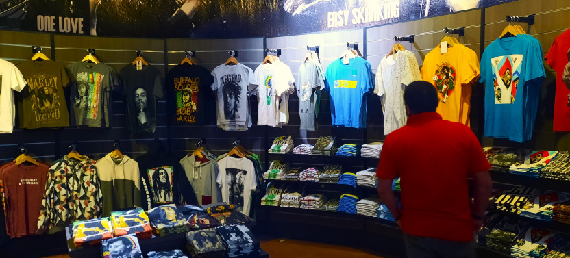 Bob Marley Museum Tour from Kingston