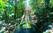 Jamaica Bobsled Adventure Tour from Falmouth
