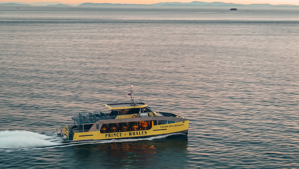 Sunset Whale Watching from Vancouver - Free Photo Package