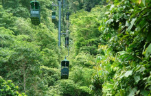 Greenway Nature Tours476