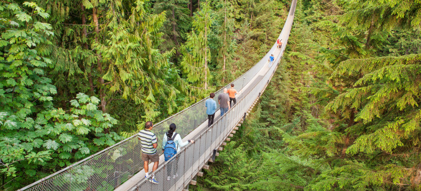 Capilano Suspension Bridge + Grouse Mountain Post Cruise