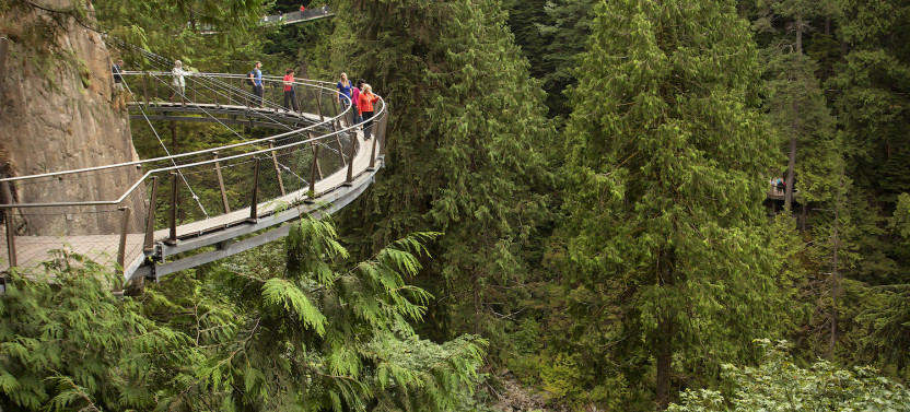 Capilano Suspension Bridge + Grouse Mountain Post Cruise