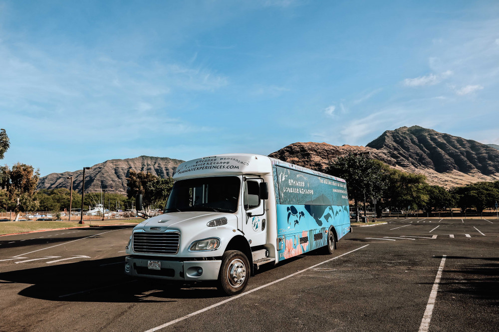 Swim with Dolphins, Snorkel, & Waterslide Activities on Oahu Honolulu