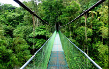 Greenway Nature Tours478