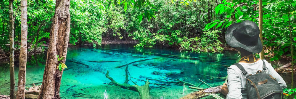 Full-Day Emerald Pool, Hot Springs & Tiger Cave Temple Tour from Krabi
