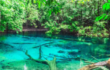 TripGuru - Thailand1