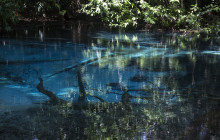 TripGuru - Thailand10