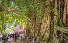 TripGuru - Thailand8