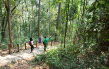 TripGuru - Thailand11