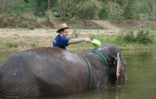 TripGuru - Thailand2