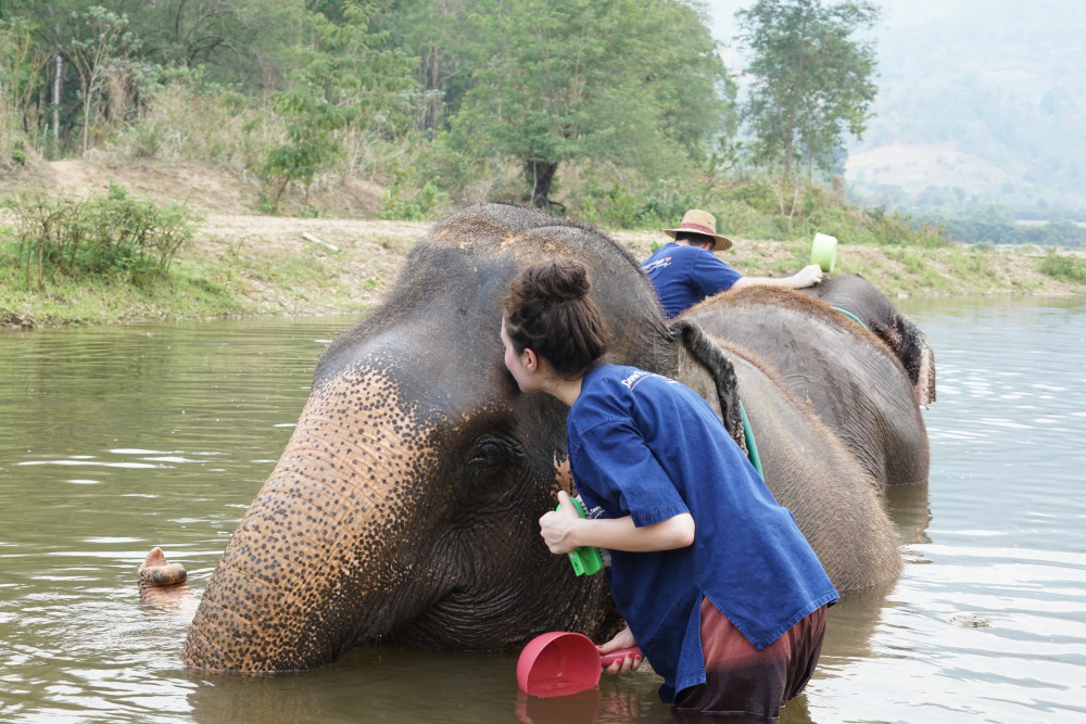Ethical Elephant Sanctuary & Sticky Waterfall Adventure from Chiang Mai