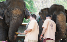 TripGuru - Thailand3