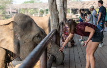 TripGuru - Thailand5