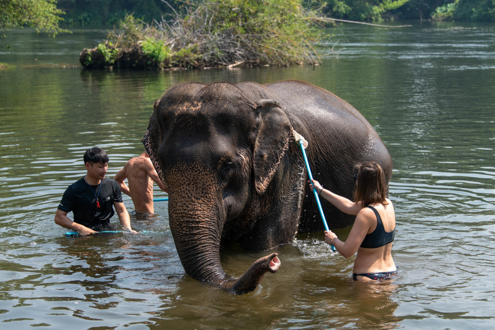 Full-Day Ethical Elephant Sanctuary & Erawan Waterfall Tour from Bangkok