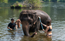TripGuru - Thailand1