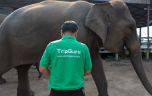 TripGuru - Thailand7