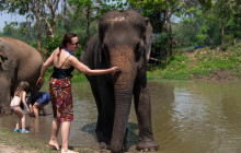 TripGuru - Thailand24