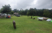 TripGuru - Thailand5