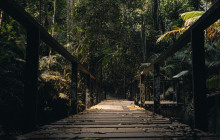 TripGuru - Thailand9