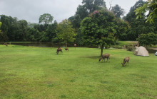 TripGuru - Thailand22