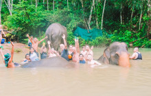 TripGuru - Thailand5