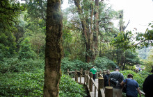 TripGuru - Thailand3