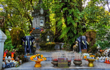 TripGuru - Thailand14
