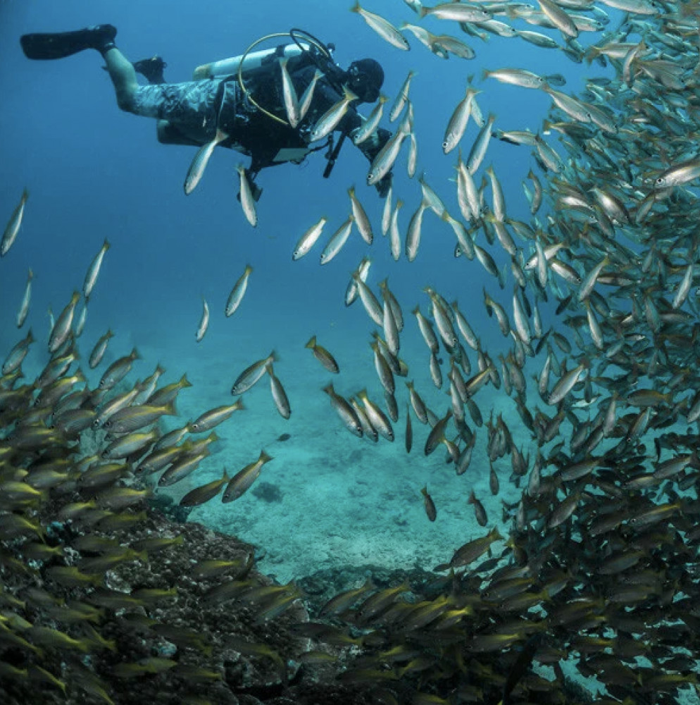 PADI Advanced Open Water Diver Course from Khao Lak ( 2 Days )