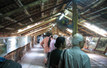 TripGuru - Thailand3