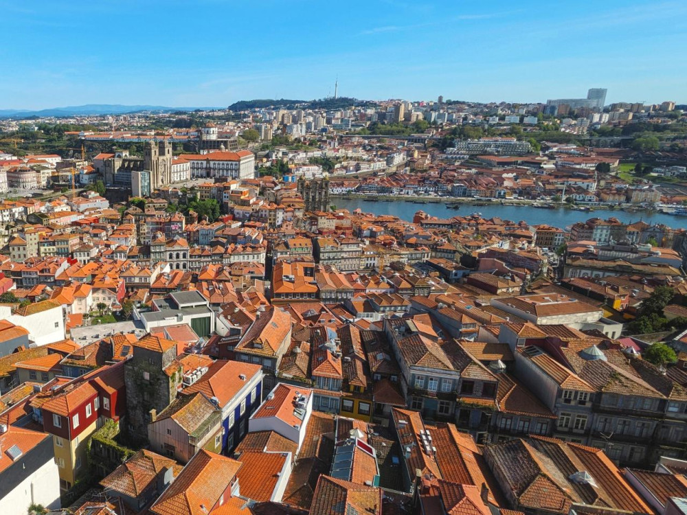 Discover Porto: Private Half-Day Driving Tour with Wine Tasting