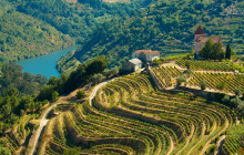 Travel Curious2