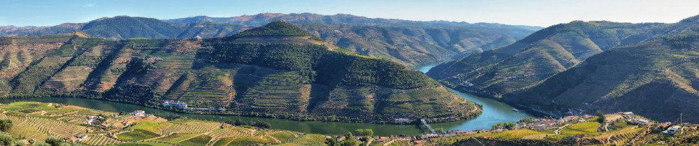 Explore Douro Valley: Private Full-Day Wine Tasting Excursion from Porto