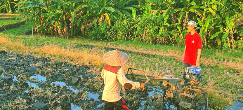 Bali Hidden Rice Terraces Trek