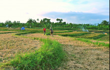 Bali Hidden Rice Terraces Trek