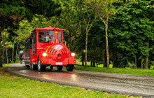 City Sightseeing Worldwide81