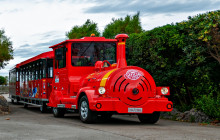 City Sightseeing Worldwide82