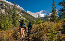 Discover Banff38