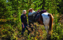 Discover Banff39