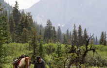Discover Banff40