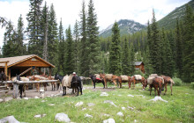Discover Banff44