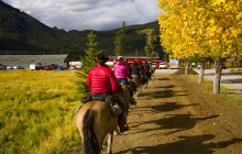 Discover Banff49